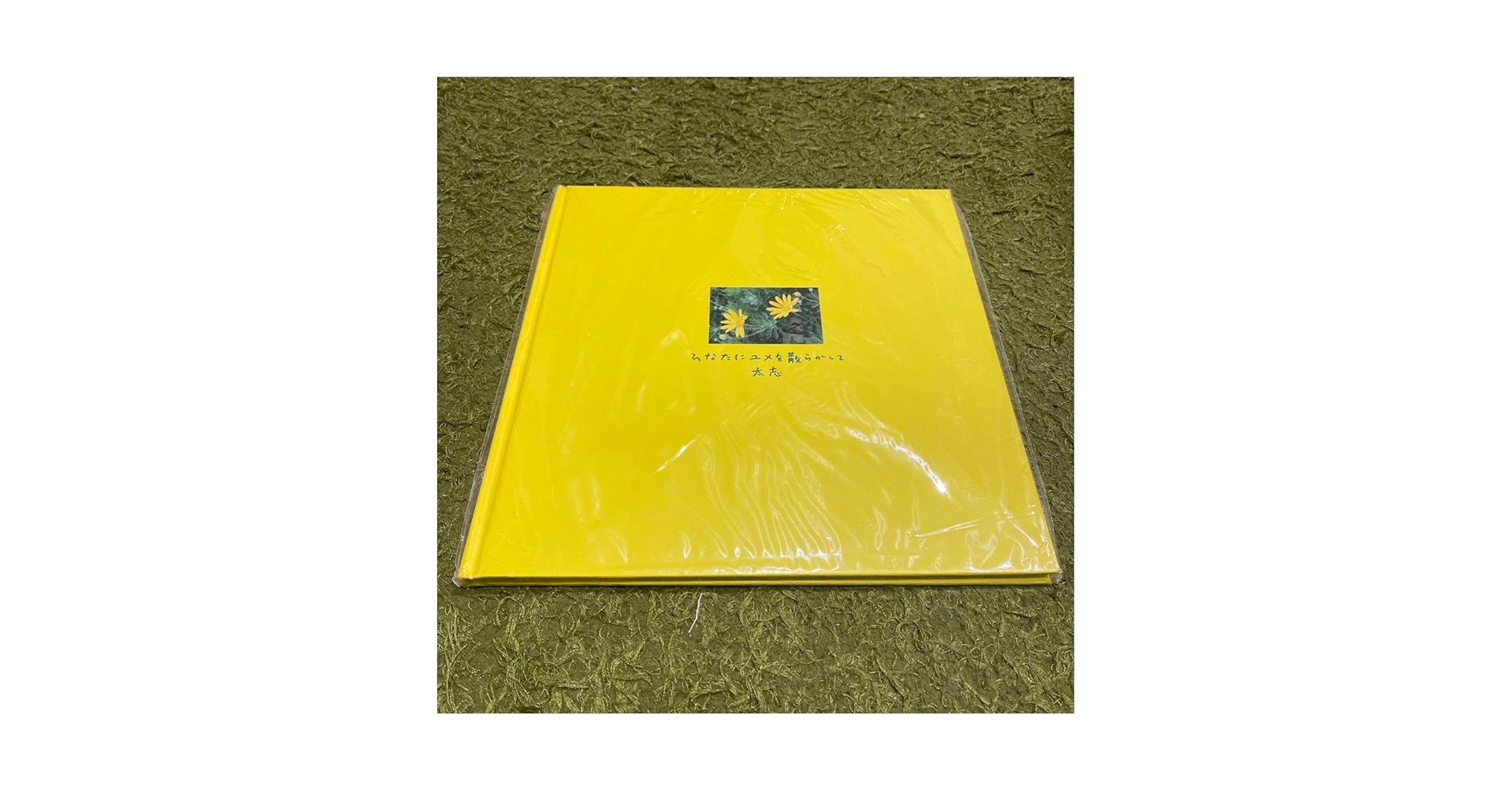 ひなたにユメを散らかして(Aqua Timez、太志) Amazon.co.jp: アクアタイムズ 太志 詩集 ひなたにユメを